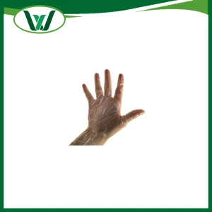 Biodegradable Long Sleeve HDPE LDPE CPE TPE PE Disposable Long Sleeve Plastic Gloves