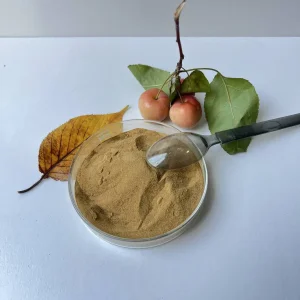 Naphthalene-Based High-Efficiency Water Reducing Agent