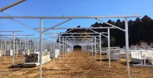 Ordinary Agricultural Greenhouse Manufacturer PV Brackets Solar Applications Farm