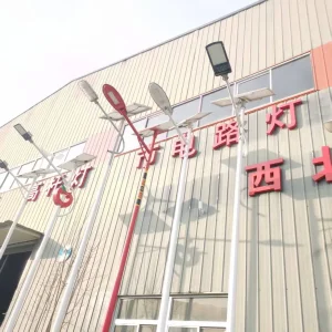 China Factory Street Light