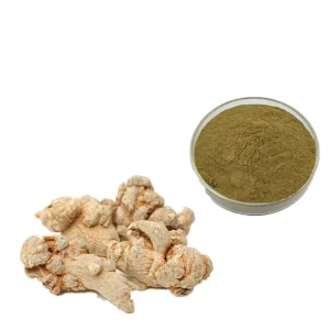 Notoginsenoside Powder