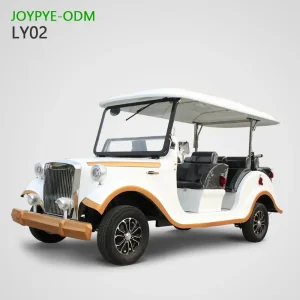 China Suppliers Factory Vintage 5-14 Seater Customized Sightseeing Cars - Joypye ODM Quality Vehicles