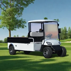 Quality New Best Sport UTV Buggy Trolley Utility Vehicle for Sale Mini Truck Manufacturer Electric Golf Cart Cargo Box