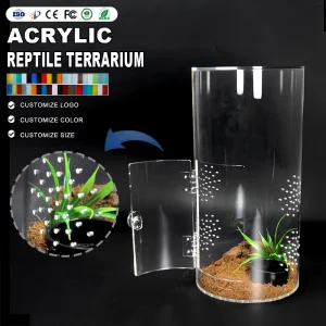 Acrylic Reptile Terrarium Mini Enclosure Cage for Tarantulas