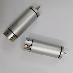 12V/24V/36V 20000rpm Motor