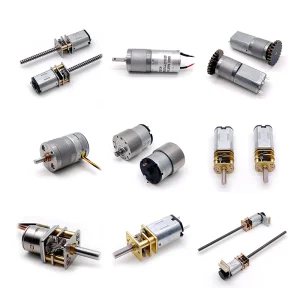 China Supplier TT 6v 12v 24v Worm Planetary Bldc Brushless Brushed Electric Dc Gear Motor With Optional Encoder