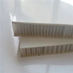 Honeycomb Scaffold Board