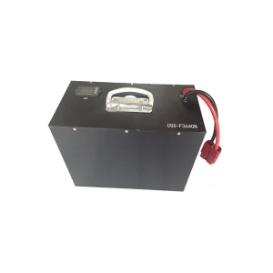 Wholesale Lithium Battery Scooter 36V