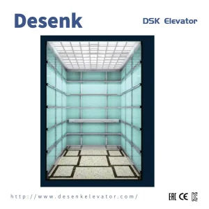 Desenk Passenger Elevator Small Machine Room Villa Elevator Commercial Elevator with Good Elevator Price