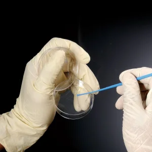 Economic Plastic Laboratory Medical 1UL 10UL Sterile Disposable Inoculating Loop