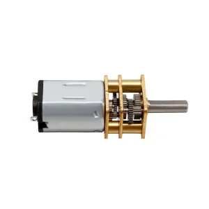 Customized DC Motor