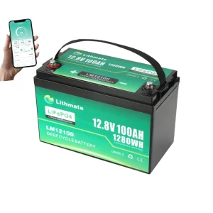 OEM Lithium 12V 100Ah Deep Cycle Battery