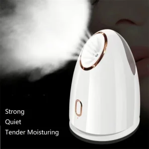 PAKISS High-end Design Ionic Mini Portable Electric Nano Facial Steamer Lightening Moisturizer Nourishing Features for Household