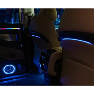 Denza D9 LED Ambient Light-Colorful 12V Retrofit/Upgrade