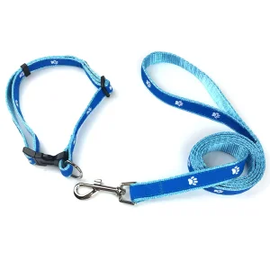 Hot Sale High Quality Custom Polyester Nylon Pet Dog Leash&Collar Set