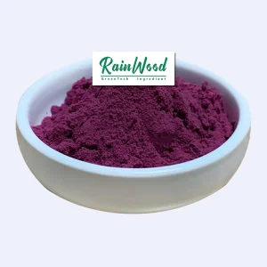 Pure Natural Pink Pitaya Powder