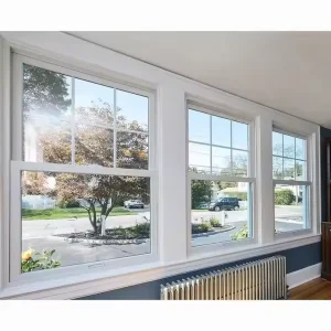Double Hung Windows