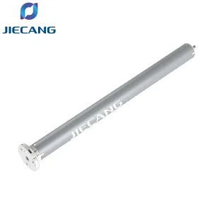 Brushless DC Motor
