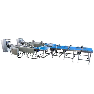 Biscuit Cake Packaging Line