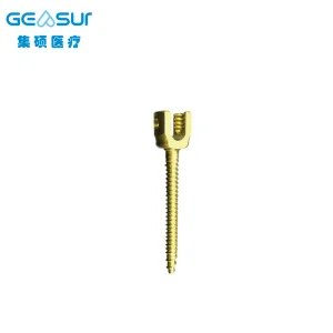 Posterior Spinal Internal Fixation