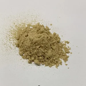Bacillus Coagulans Powder