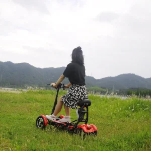 Superb and The Driving Is Smooth Self-Balancing Electric Scooters