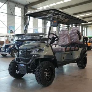 Hotel Electric Golf Cart