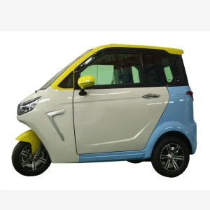 China Top Electric Tricycle Fully Enclosed Trike Passenger Tricycle for Family Use（NG-D06) Manufacturer, Manufacturers