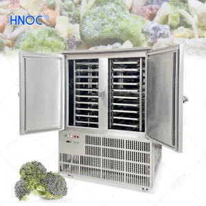 Congelador Comercial Industrial IQF Blast Frio Rápido