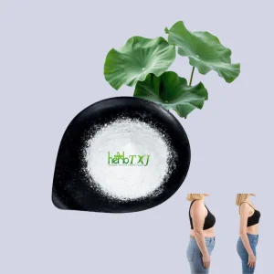 High Quality Pure Natural Lotus Leaf Extract Powder 98% Nuciferine Powder