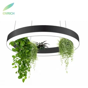 Workspace Green Lighting