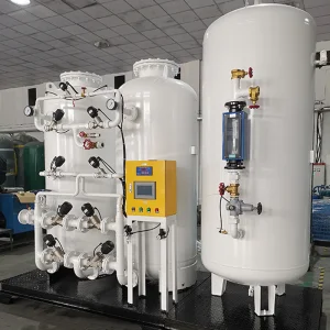 Nitrogen Plant 3nm3/Hr Nitrogen Gas Generator for Food Preservation