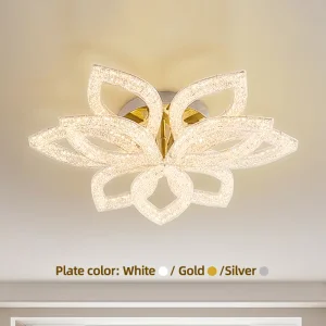 Modern Dimmable LED Ceiling Light Surface Mounted