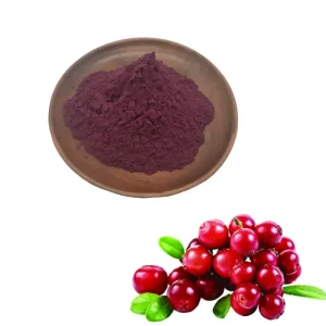 China Pure Cranberry Extract Proanthocyanidins