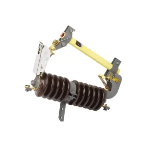 ODM RW Type Drop Fuse