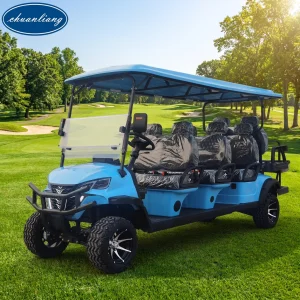 Luxury Design Street Legal Blue 8 Passenger