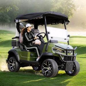 Luxury Two-seater Golf Cart
