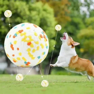 Pet Ball Hot Selling Bite Resistant Dogs Aggressive Dental Protection Etpu Pet Interactive Ball Dog Chew Toy