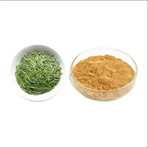 Camellia Sinensis Green Tea Leaf Extract