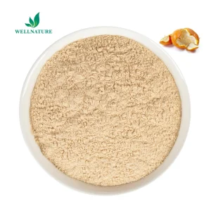 Polvo de fruta de naranja dulce orgánica