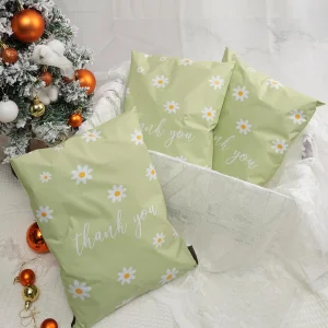 Eco-Friendly 2 Mil Custom Logo Printed Compostable Poly Shipping Envelope