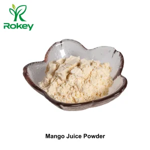 Sabor de mango deshidratado premium para bebidas y repostería - polvo de jugo de mango