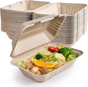 Clamshell Take Out Food Containers 100% Compostable Disposable to Go 9X6 Inch Sugarcane Bagasse Lunch Box