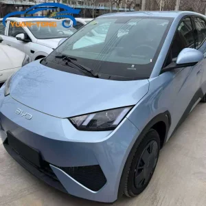 Byd Seagull