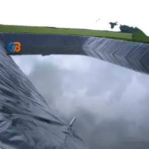 Industrial 2mm Thick Eco-Friendly Anti-UV HDPE Geomembrane Reservoir Liner for Shrimp Farm Fish Farm Pond Dam &amp; Landfill