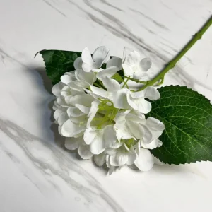 Small Single Hydrangea