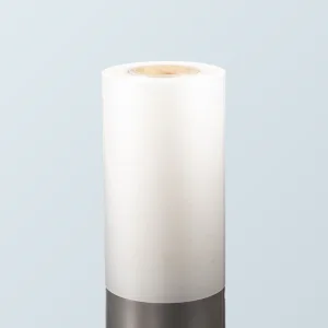 Various Customizable PP Sheets for High Clarity Food Grade Packaging Film