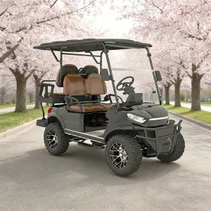 Electric Golf Cart