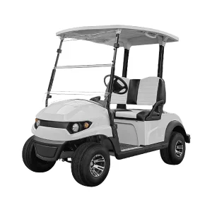 2 Seater Sightseeing Bus