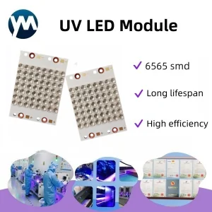 Professional 560W UV LED 6565 Light Module 395nm Curing Lamp with Import Chip Quartz Lens for Industrial Screen Printing